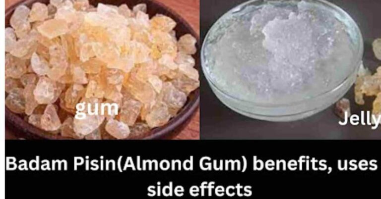 Amazing10 benefits and uses of Almond gum(Badam pisin)