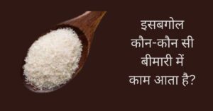 चित्र में-एक चम्मच में इसबगोल 