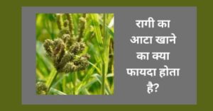 रागी का आटा 