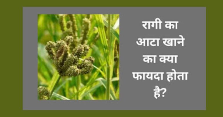 रागी का आटा