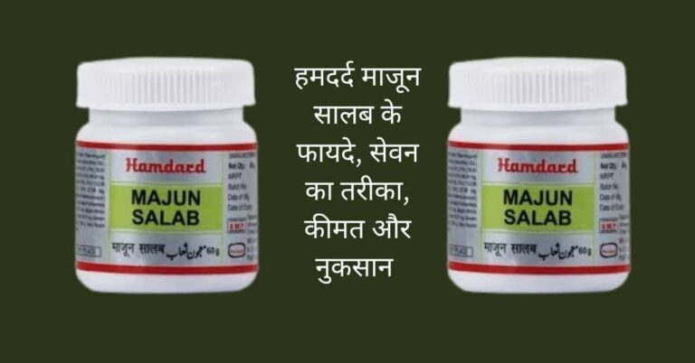 Hamdard Majun salab